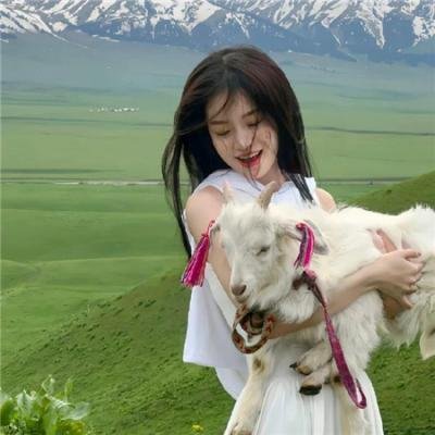 乐高史酷比:好莱坞闹鬼记 在线观看封面